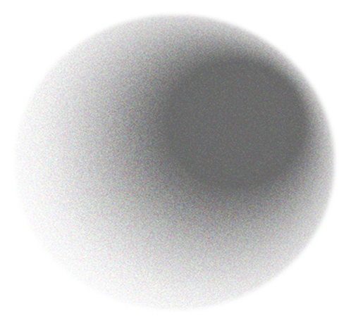 BlueNotary - Future of Trust